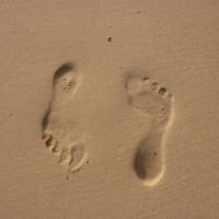 Fußabdrücke im Sand
